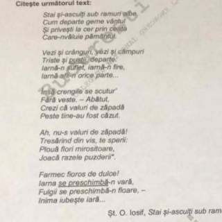 Genul Liric La Simulare Limba Romană Viii A Ce Este Genul Liric și Care Sunt Capcanele Subiectelor Start Magazine